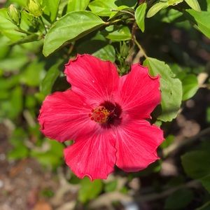 Meet your Posher, Mack